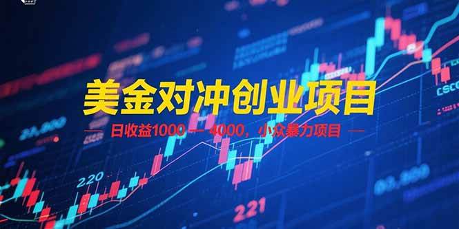 （15187期）美金对冲创业项目，日收益 1000 – 4000，小众暴力项目