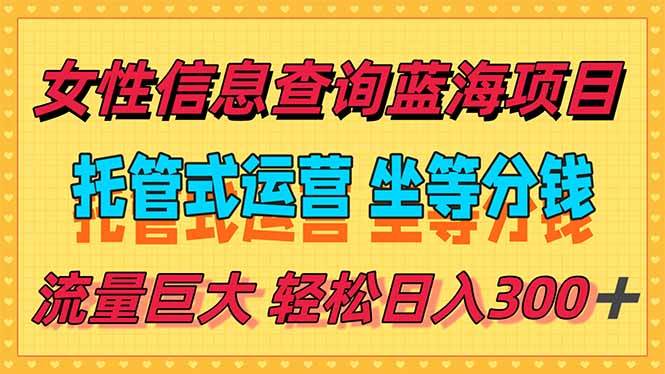 （15216期）稳定日入300＋，小众信息查询蓝海项目，全程懒人式托管，解放你的时间
