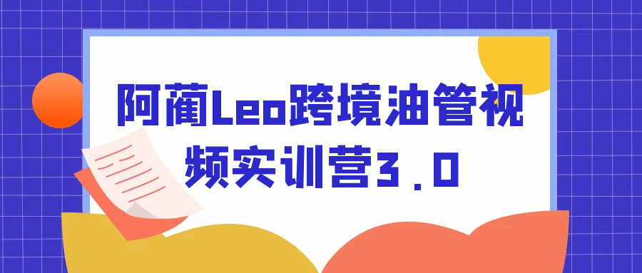 阿蔺Leo跨境油管视频实训营3.0-趣奇资源网-第5张图片
