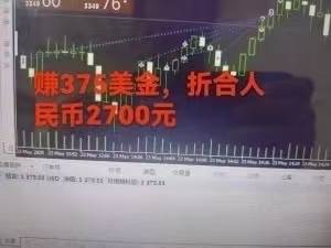 （15632期）稳定8年的美刀搬砖项目，单人每日收益800—3000.团队4人月入10W+.可线下