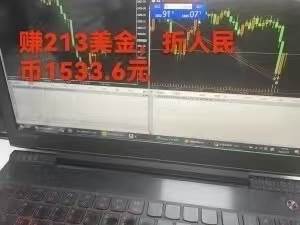 （15632期）稳定8年的美刀搬砖项目，单人每日收益800—3000.团队4人月入10W+.可线下