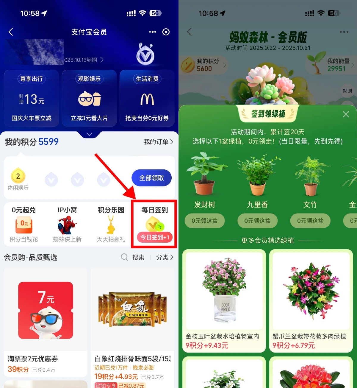 支付宝蚂蚁森林签20天领绿植-趣奇资源网-第3张图片