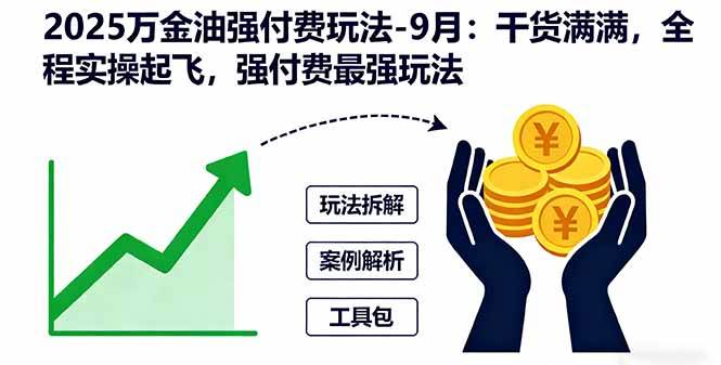 (16202期)2025万金油强付费玩法-9月:干货满满,全程实操起飞,强付费最强玩法
