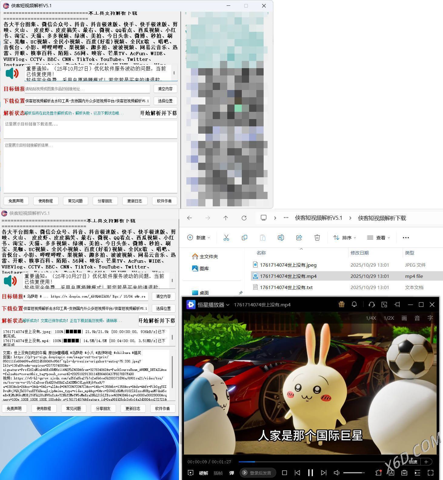 侠客多平台短视频解析去水印工具 V5.1-趣奇资源网-第4张图片