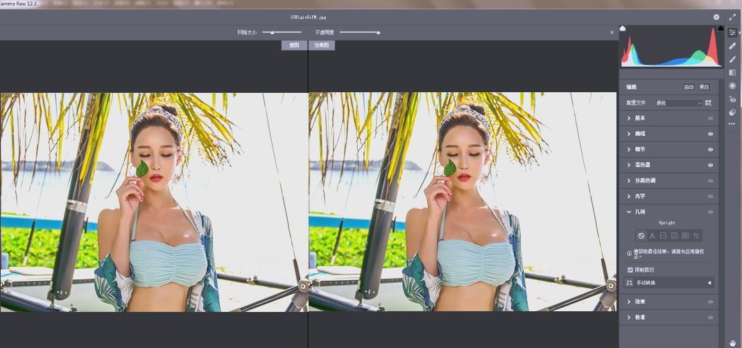 RAW处理Adobe Camera Raw v18.2.0中文版