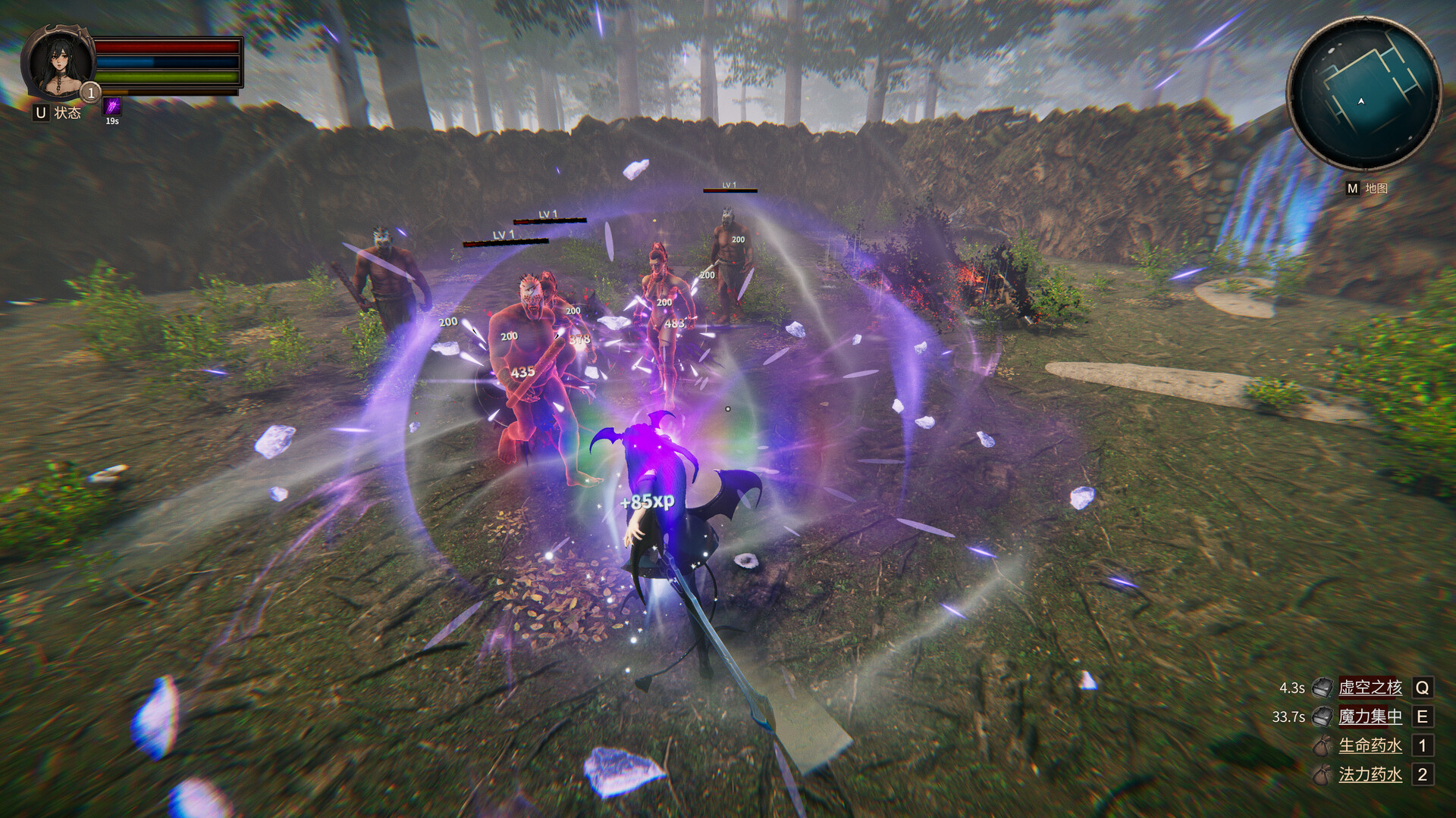 虚幻之地/Realm of Illusion