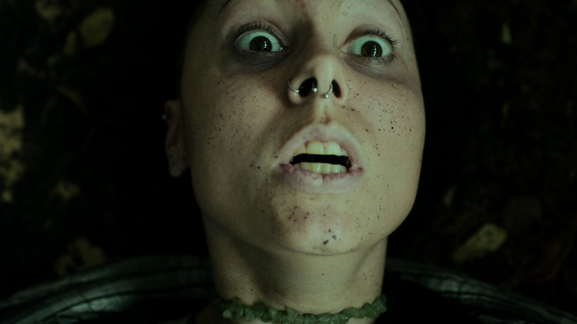 幽林深处/Heart of the Forest