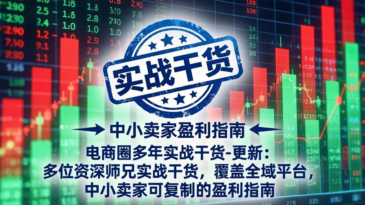 电商圈多年实战干货-更新5月20:多位资深师兄实战干货/覆盖全域平台,中小卖家可复制的盈利指南