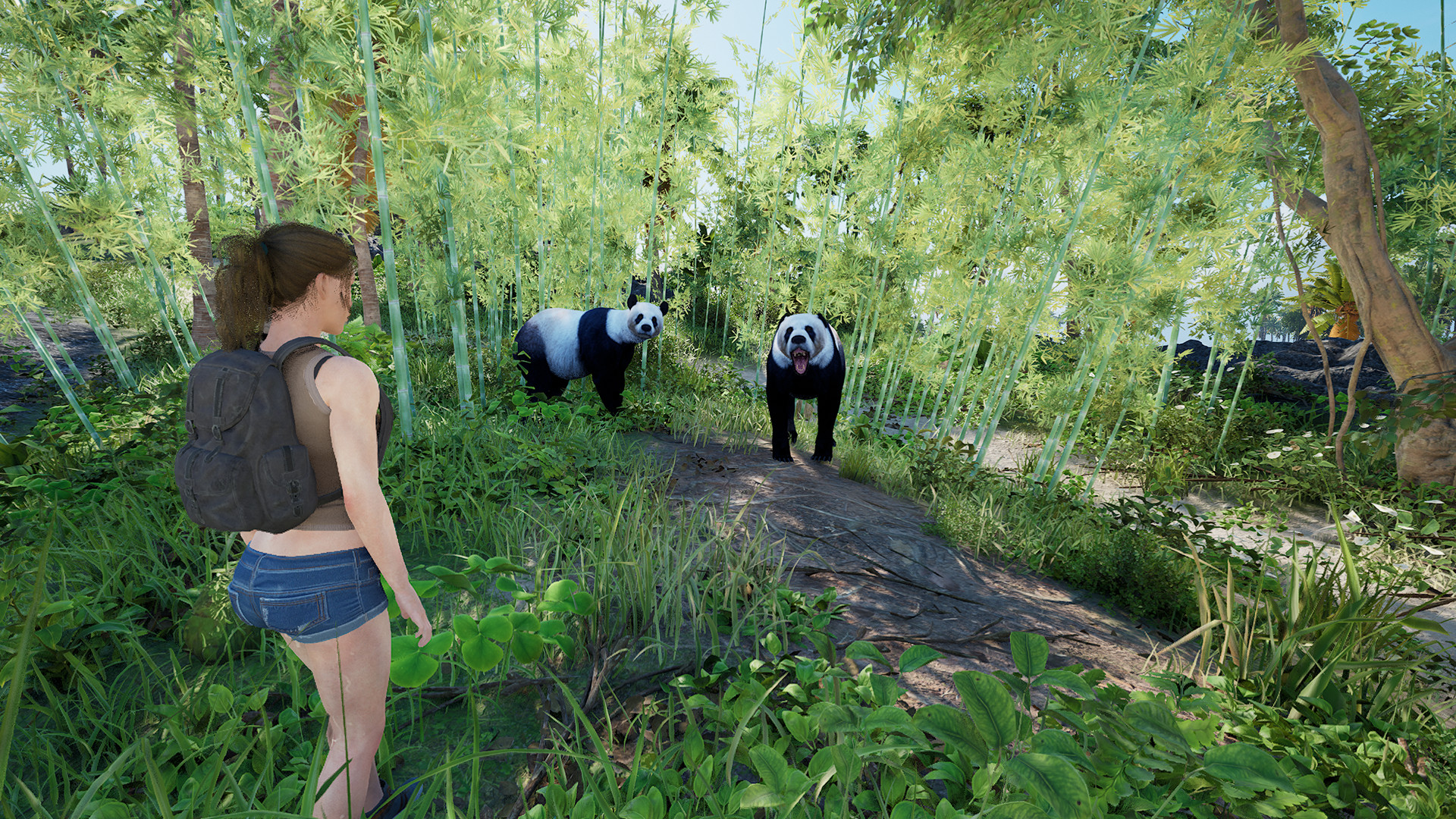 伊甸岛/Eden Island