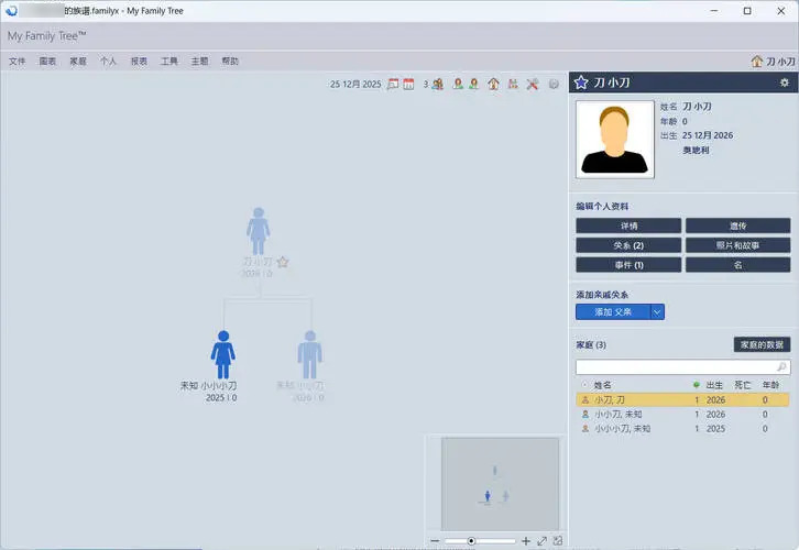 族谱制作工具My Family Tree v16.0.0.0绿色版