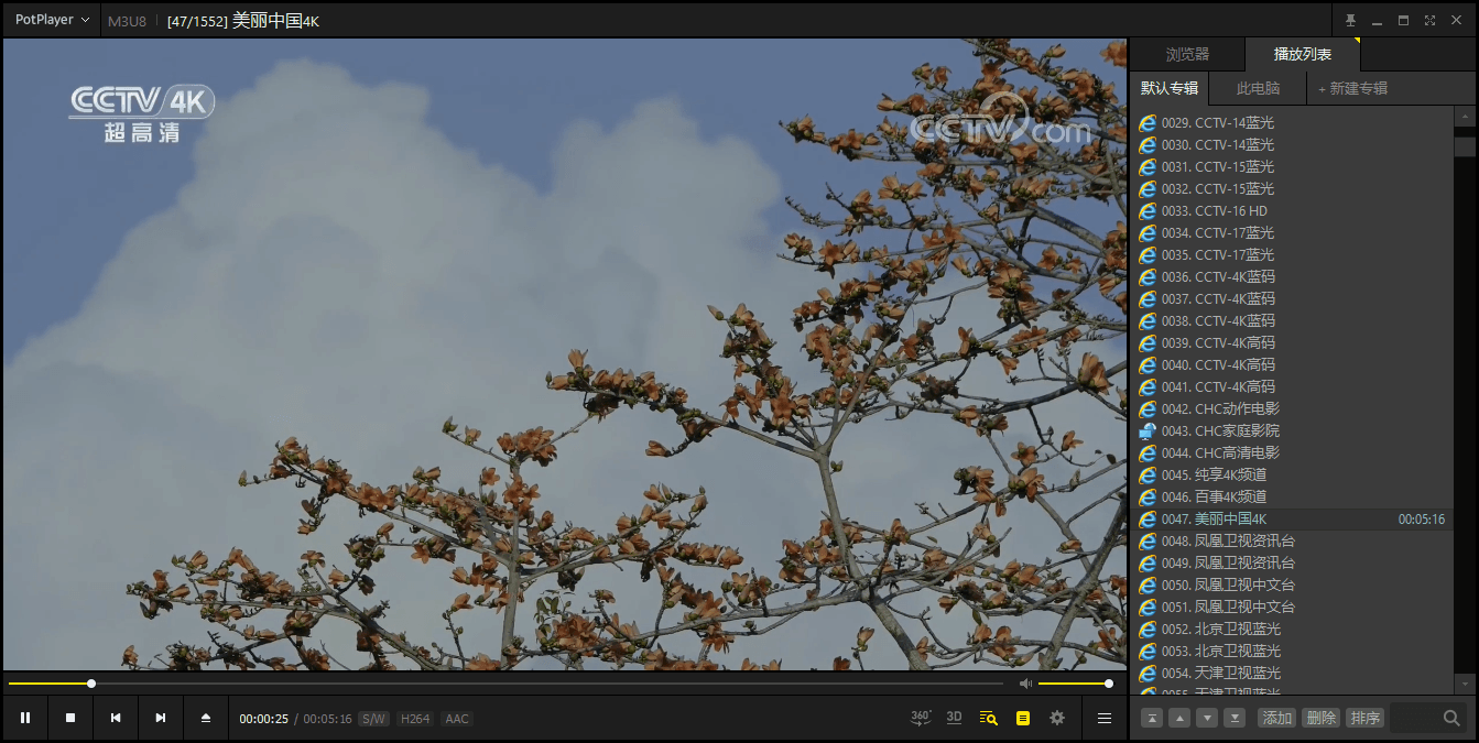PotPlayer v1.7.22541绿色版