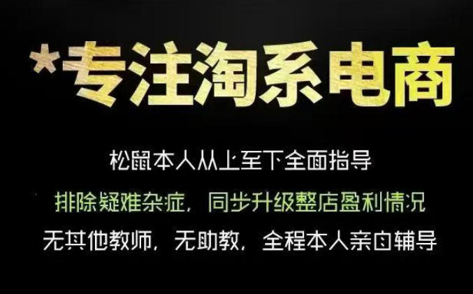 松鼠会电商VIP课程,从基础布局到高阶优化,助你掌握淘宝运营逻辑,提升店铺流量与转化(更新0703)