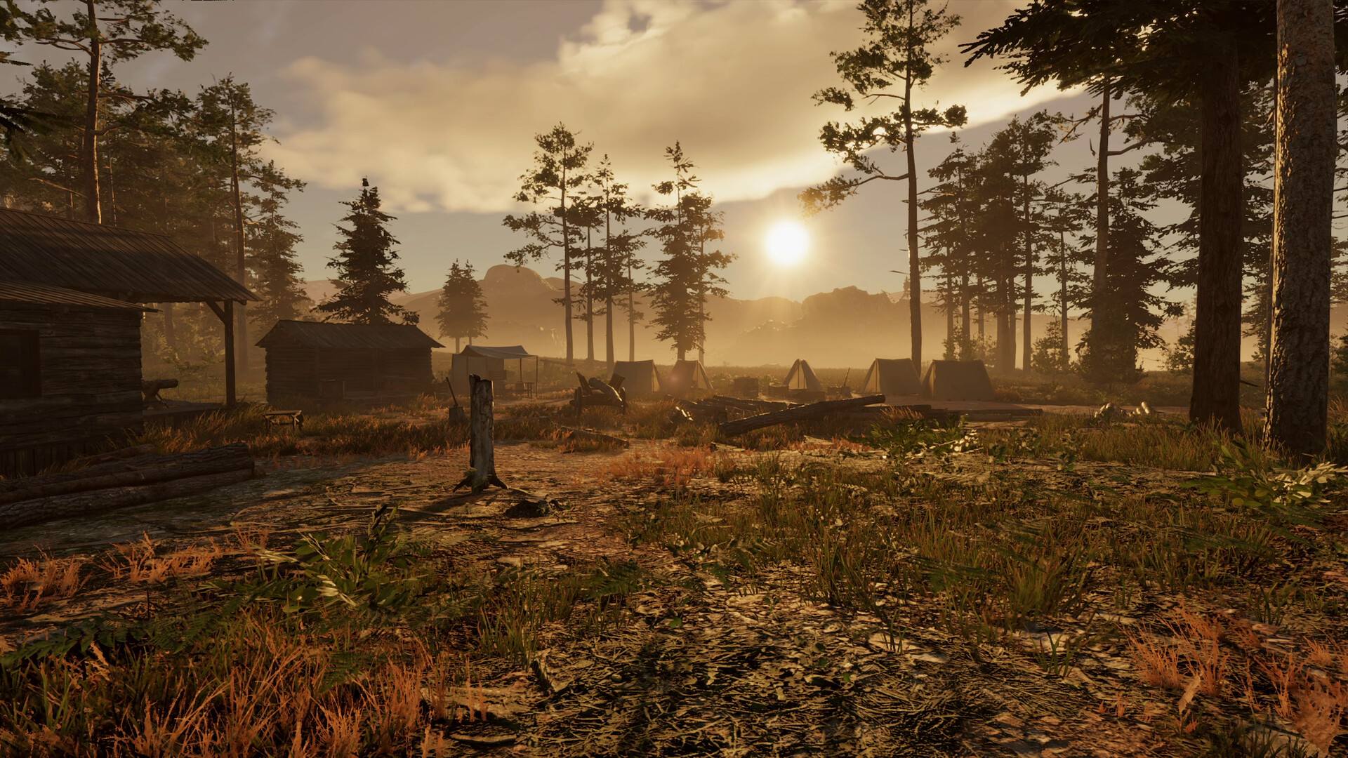 狂野西部时代/Wild West Dynasty