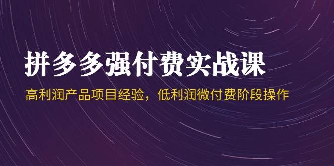 （14874期）拼多多强付费实战课-44期，高利润产品项目经验，低利润微付费阶段操作