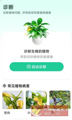 Plant Parent 植物养护v1.105高级版